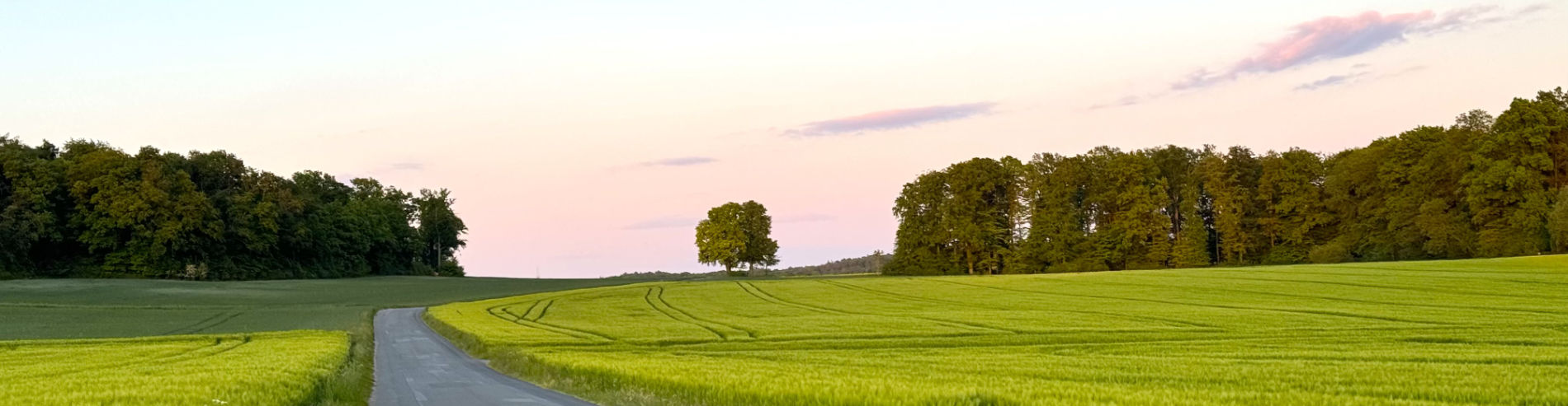 Feld bei Sonnenuntergang